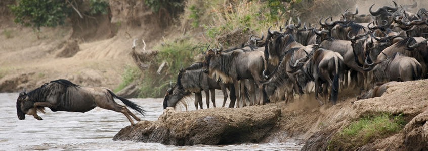 Masai Mara Game Reserve