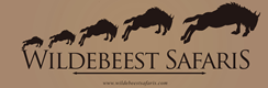 Wildebeest Safaris Ltd.