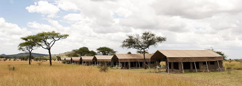 Serengeti Katikati Tented Camp