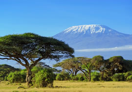 tours and travels in kenya
